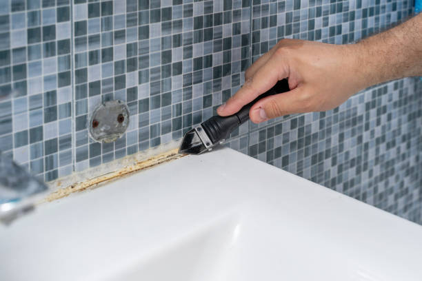 Best Mold Remediation Experts  in South Deerfield, MA