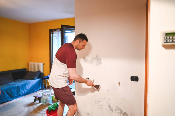 Certified Mold Removal in South Deerfield, MA